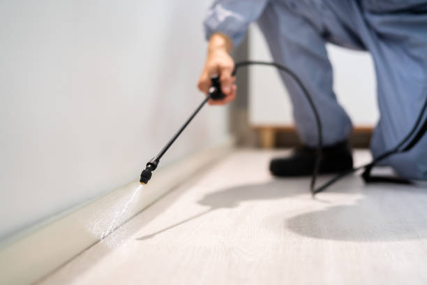Licensed Termite Control service in Ives Estates, FL - Nex Pest Control