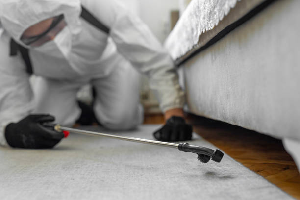 Professional Termite Control technician working in Ives Estates, FL