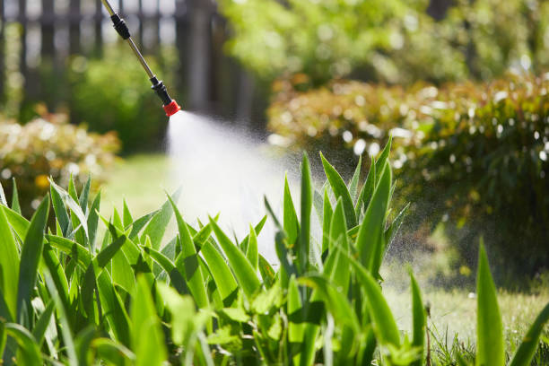 24/7 Emergency Termite Control experts in Ives Estates, FL