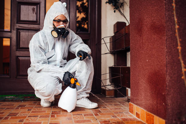 Reliable Termite Control contractor in Ives Estates, FL by Nex Pest Control