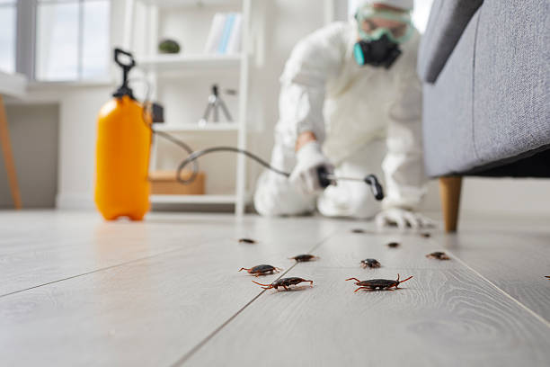 Trusted Emergency Pest Control service in Ives Estates, FL - Nex Pest Control