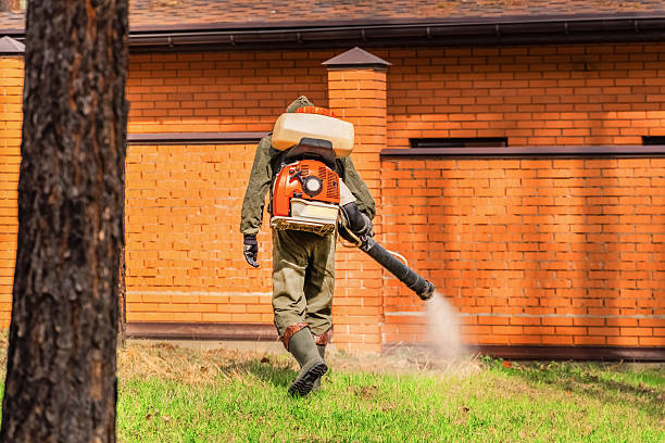 Trusted Ant Control service in Ives Estates, FL - Nex Pest Control